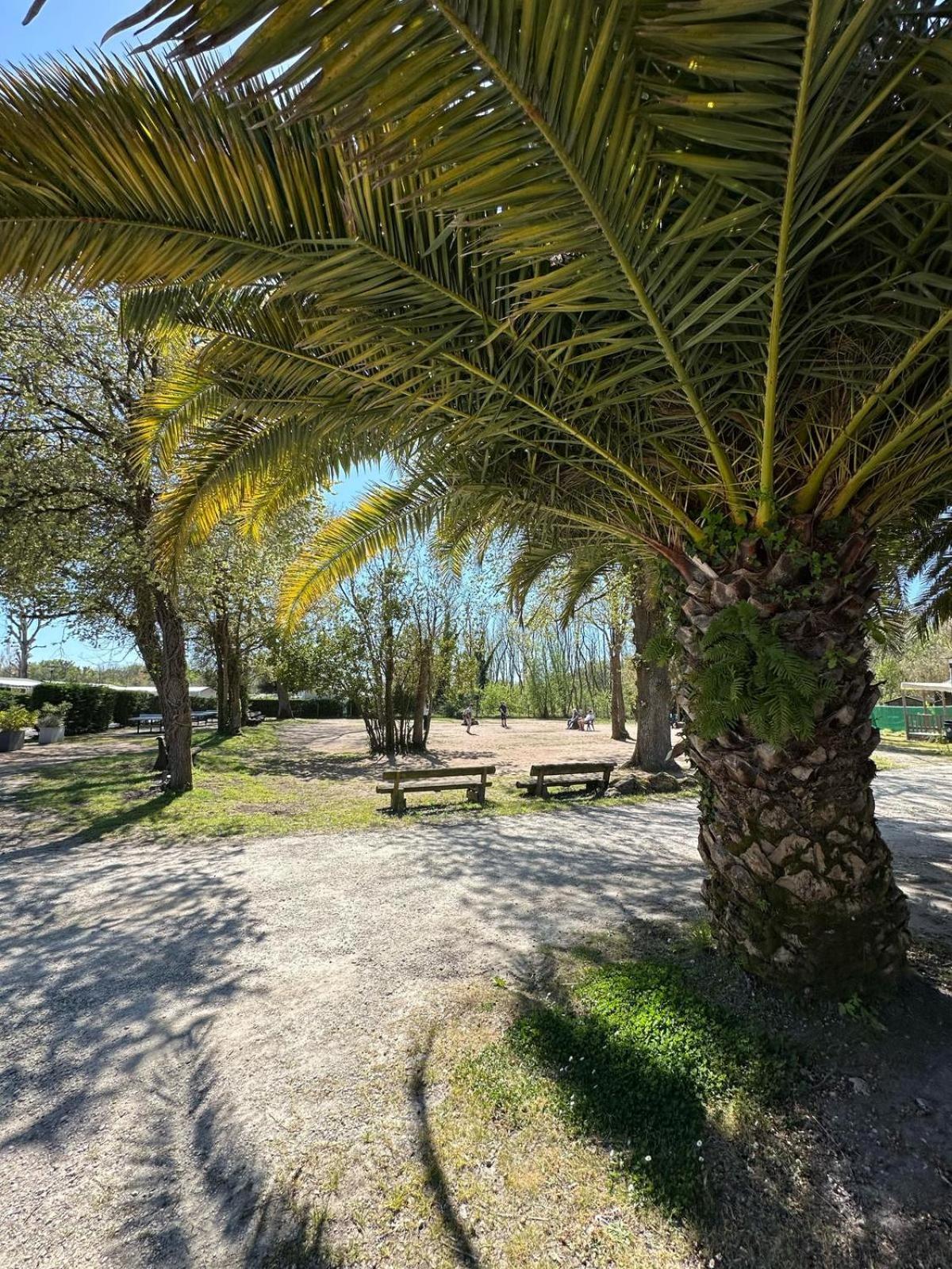Campsite Mobilhome Ile D'oleron - 6 Places - 5 Etoiles Saint-Georges-d'Oleron